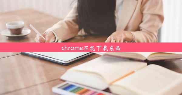 chrome不能下载东西