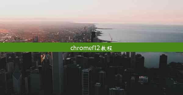 chromef12教程