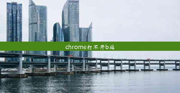 chrome打不开b站