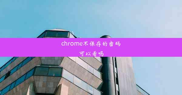 chrome不保存的密码可以看吗