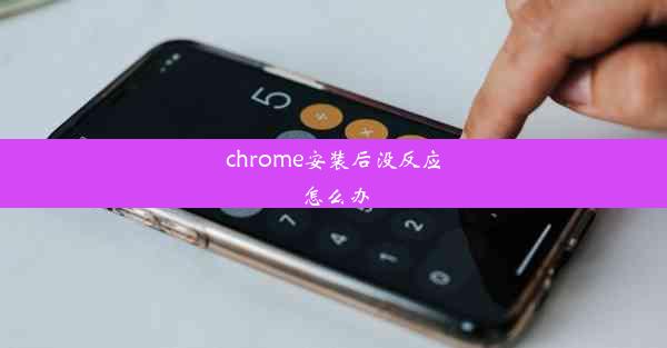 chrome安装后没反应怎么办