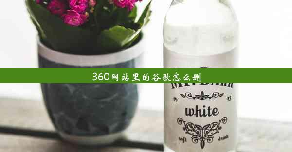 360网站里的谷歌怎么删