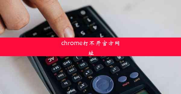 chrome打不开官方网址