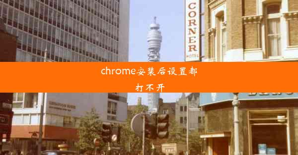 chrome安装后设置都打不开