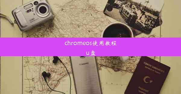 chromeos使用教程u盘