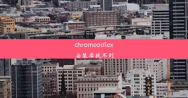 chromeosflex安装后找不到