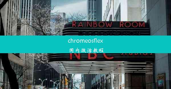 chromeosflex国内激活教程