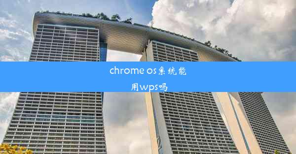 chrome os系统能用wps吗