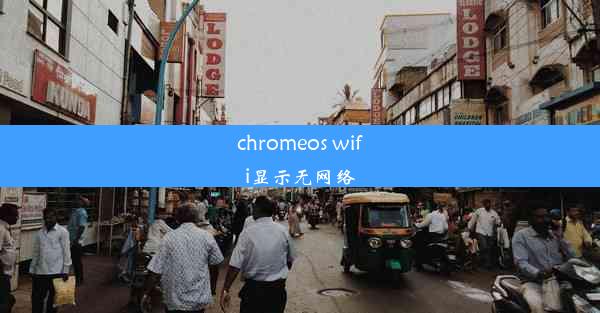 chromeos wifi显示无网络