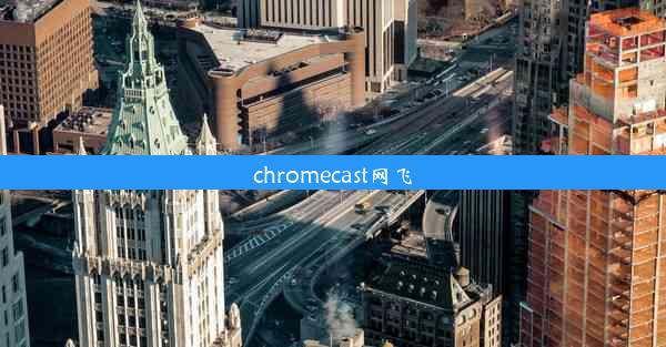 chromecast网飞