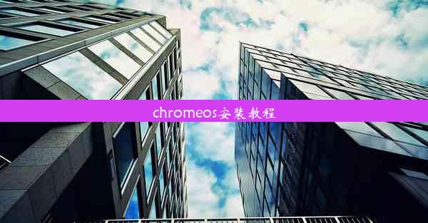 chromeos安装教程