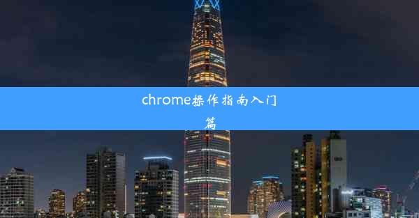 chrome操作指南入门篇