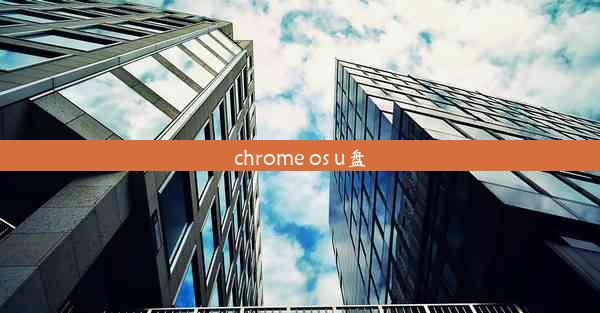 chrome os u盘