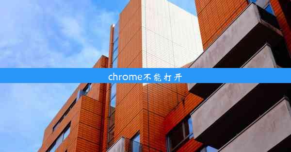 chrome不能打开