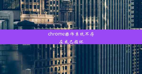 chrome操作系统不存在或已损坏