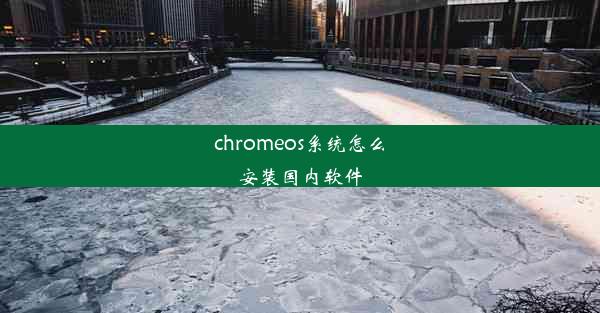 chromeos系统怎么安装国内软件