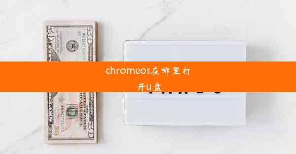 chromeos在哪里打开u盘