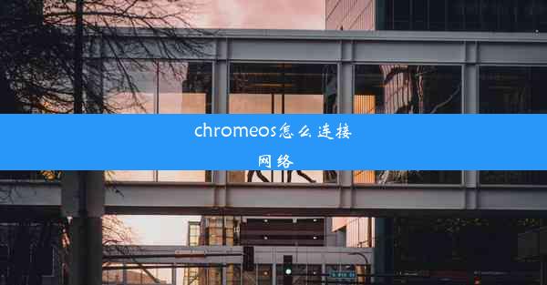 chromeos怎么连接网络