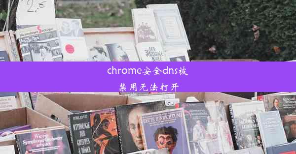 chrome安全dns被禁用无法打开