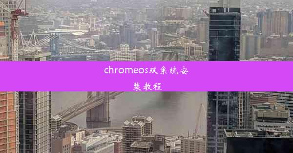 chromeos双系统安装教程