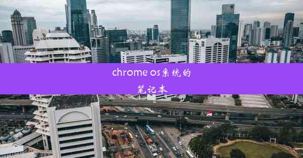 chrome os系统的笔记本