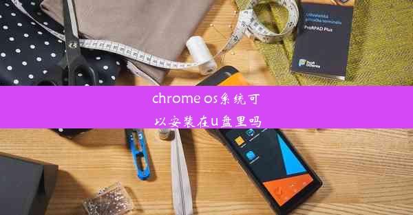 chrome os系统可以安装在u盘里吗