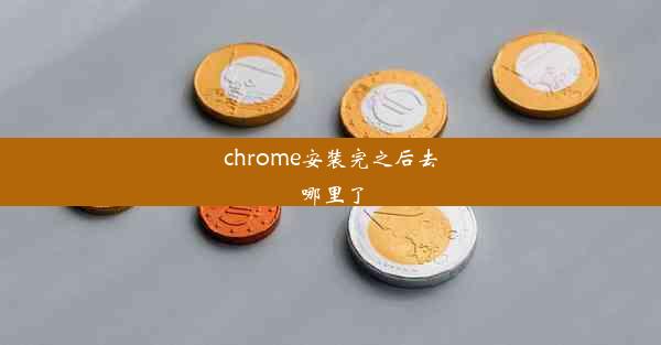 chrome安装完之后去哪里了