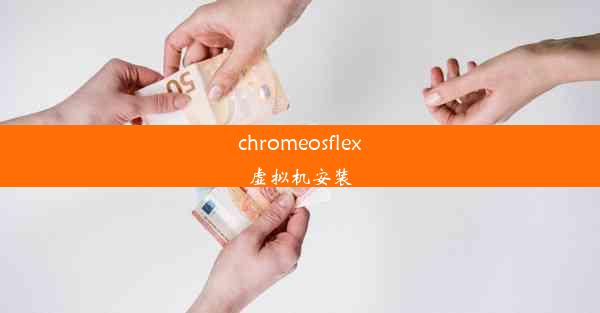 chromeosflex虚拟机安装