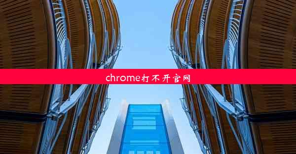 chrome打不开官网