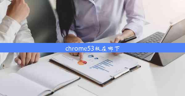 chrome53版在哪下