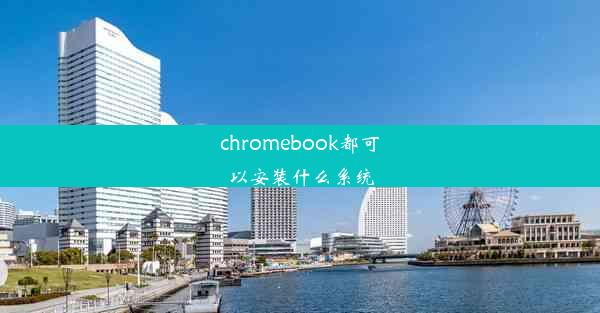 chromebook都可以安装什么系统