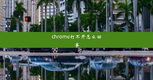 chrome打不开怎么回事