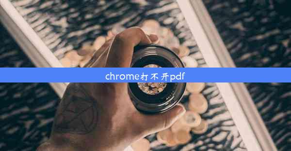 chrome打不开pdf