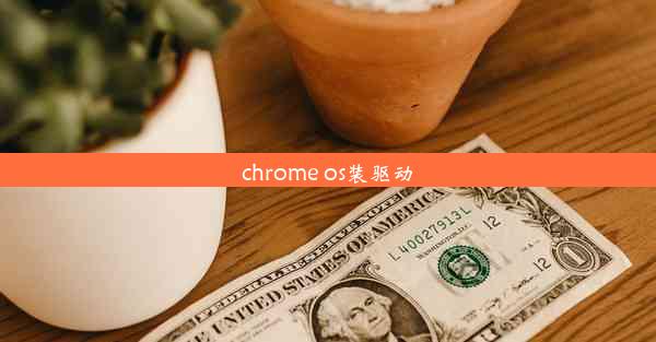 chrome os装驱动