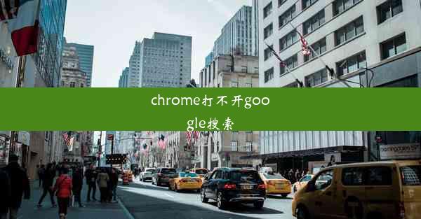 chrome打不开google搜索