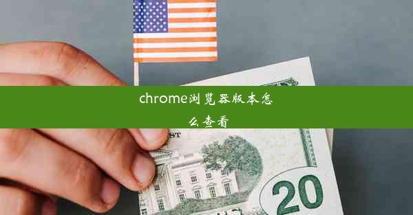 chrome浏览器版本怎么查看