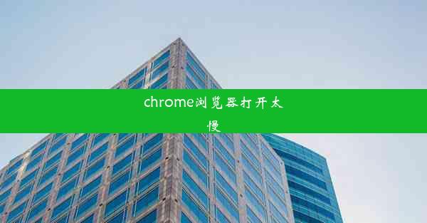 chrome浏览器打开太慢