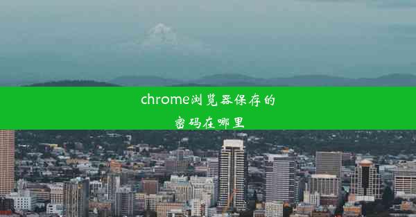 chrome浏览器保存的密码在哪里