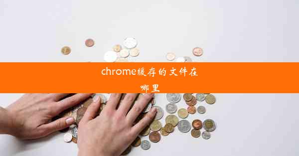 chrome缓存的文件在哪里