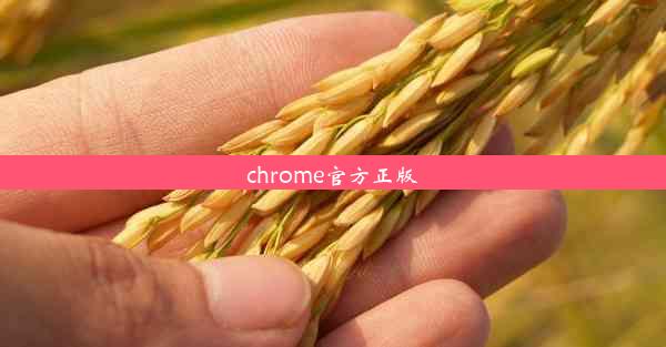 chrome官方正版