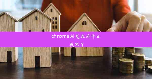 chrome浏览器为什么搜不了