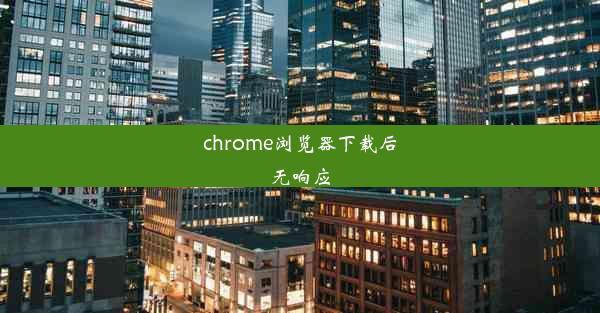 chrome浏览器下载后无响应