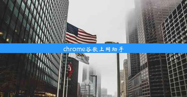 chrome谷歌上网助手