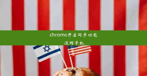 chrome开启同步功能没网手机