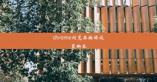 chrome浏览器编辑设置脚本