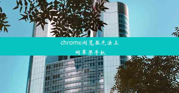 chrome浏览器无法上网苹果手机