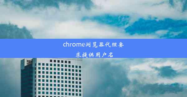 chrome浏览器代理要求提供用户名