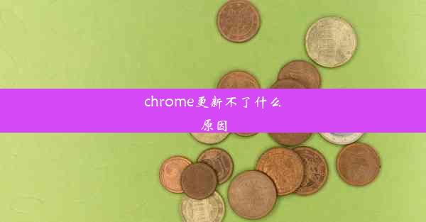 chrome更新不了什么原因