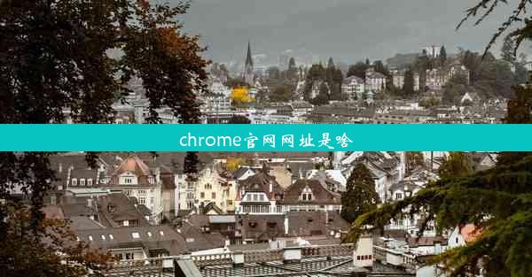 chrome官网网址是啥