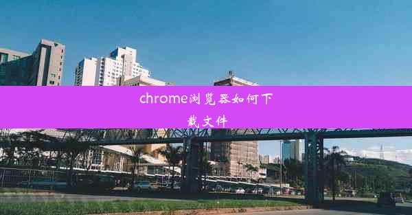 chrome浏览器如何下载文件